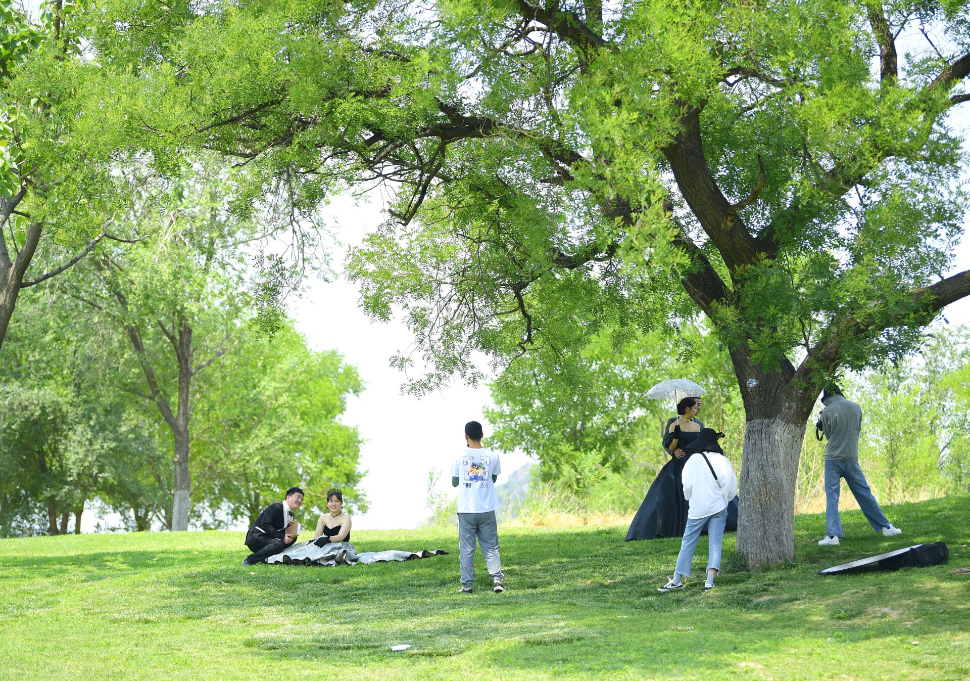 济南这处湿地公园的大草坪，成了浪漫集结地