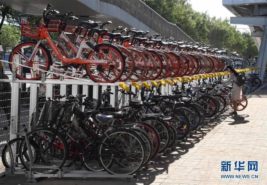 （社会）（2）北京首条自行车专用路激进