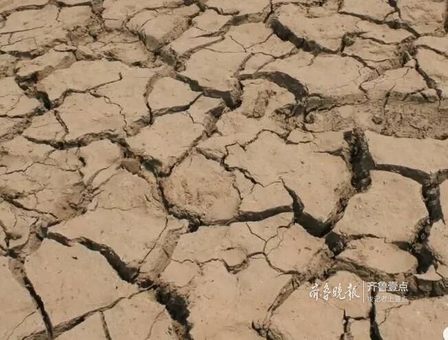 临沂蒙阴出现大面积严重干旱 调水900多万立方米