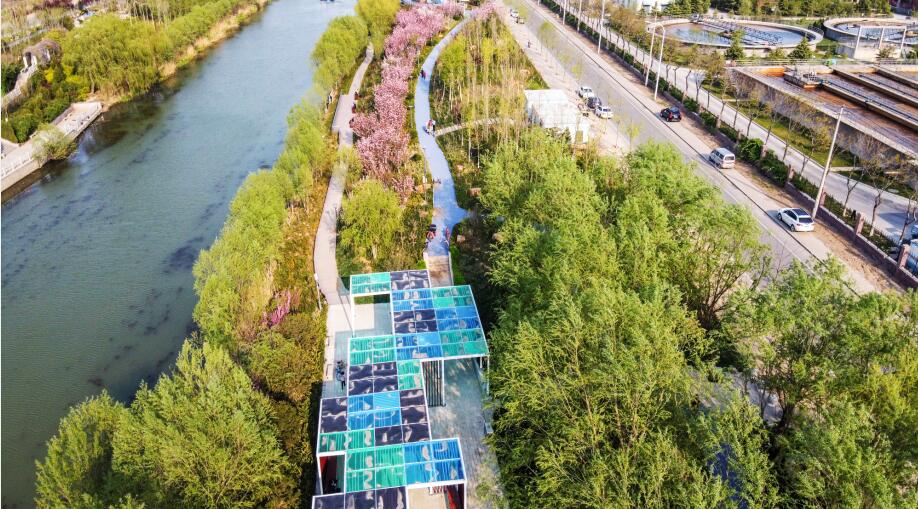济南：静耐劳活“绽开” 土坡河堤变身休闲公园