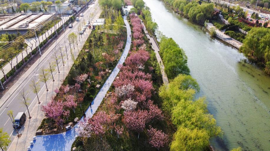 济南：静耐劳活“绽开” 土坡河堤变身休闲公园