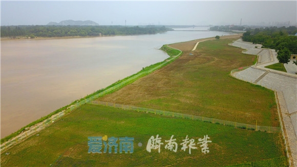 黄河济南段打造流域“绿网”